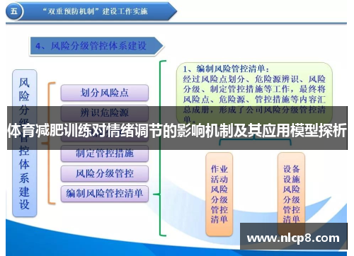 体育减肥训练对情绪调节的影响机制及其应用模型探析