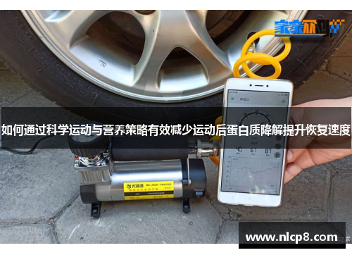 如何通过科学运动与营养策略有效减少运动后蛋白质降解提升恢复速度